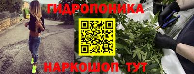 гашик Новодвинск