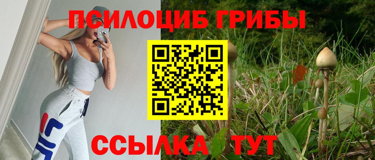 Галлюциногенные грибы мицелий Рузаевка