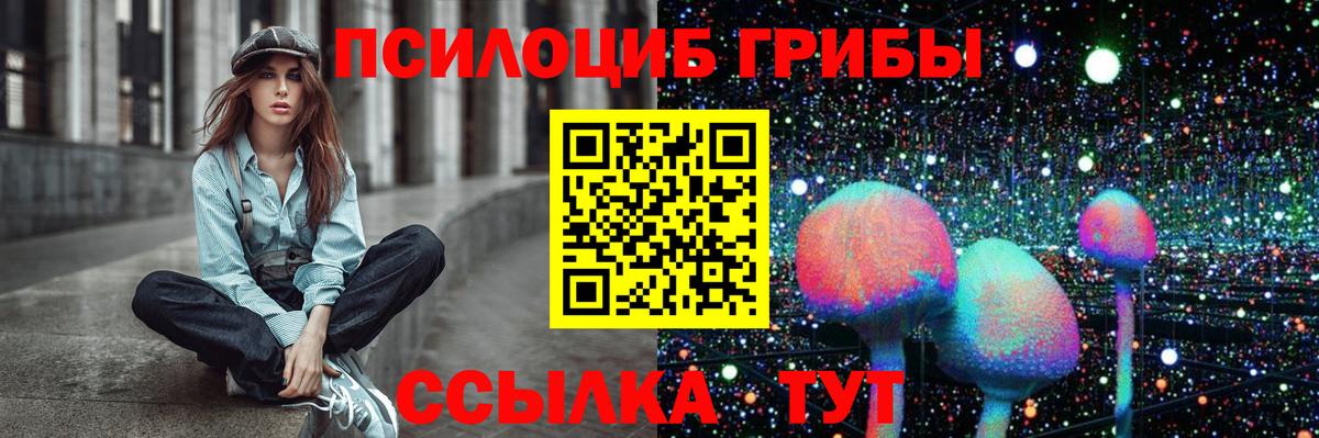 Рузаевка  Галлюциногенные грибы Cubensis  Вход с VPN 
